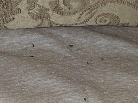 Knights Inn Fort Worth