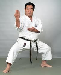 Oneonta Karate Dojo