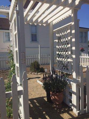 Dudley House Lavender Gardens