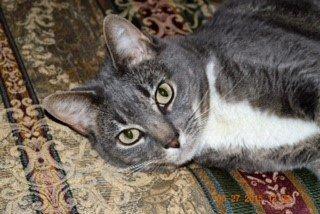 Calleigh is queen of the castle.