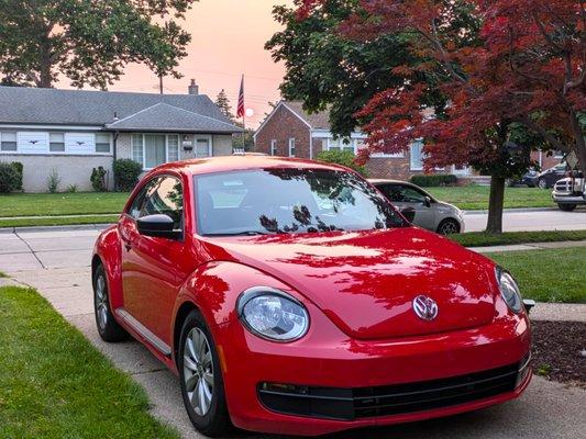 My 2015 Beetle