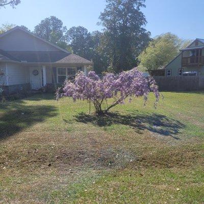 Intelligent Solutions Landscaping and Handyman