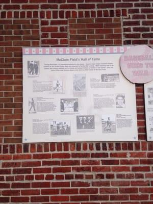 Pictures at the field