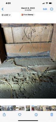 Daniel Rosa Rat and Rodent Specialist