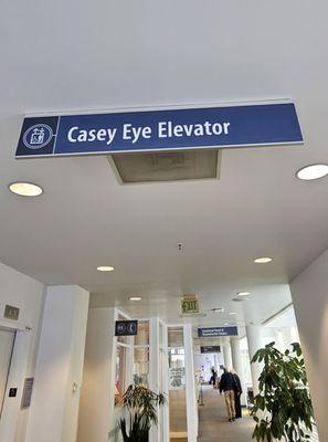 OHSU Casey Eye Institute