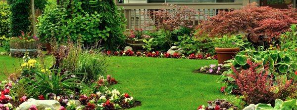 Great Pacific Complete Landscape