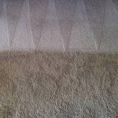 Carolina Carpet Solutions