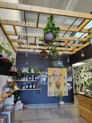 Goth-ish vibes and plants .