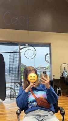 Before: the hair I walked in with.