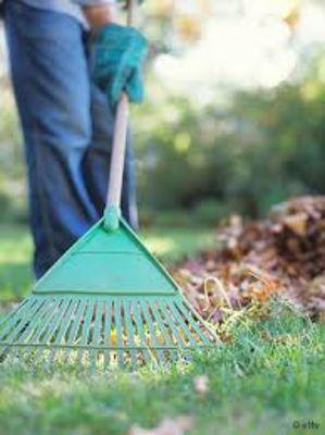 Mayra's Cleaning Services And Supply Shop