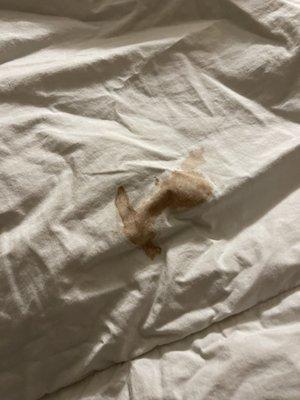 A really big red/brown stain