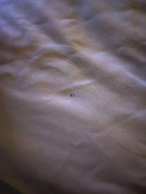 Quality Inn Batesville