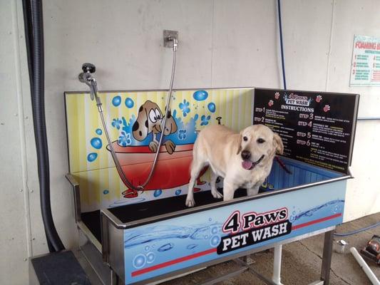 BAM Auto and Pet Wash