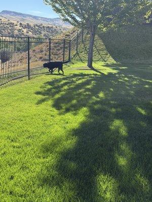 View with Just a slice of our grass, thanks to Green Services.