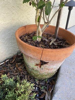 Truscapes Industries