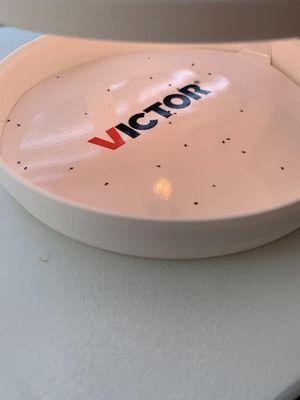 Full Spectrum Realty