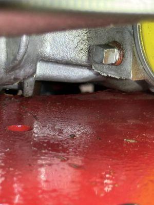 Circle D Lawn Equipment