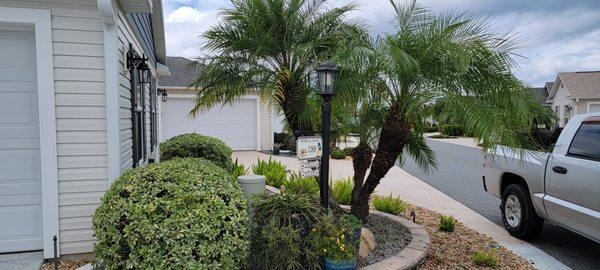 TSR Landscaping & Lawn Care