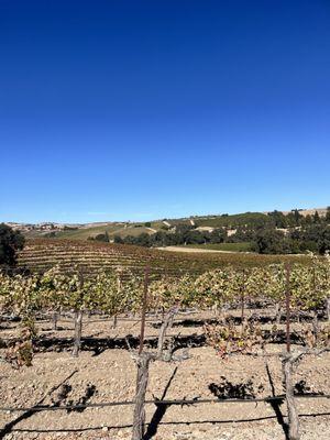 Fratelli Perata Winery