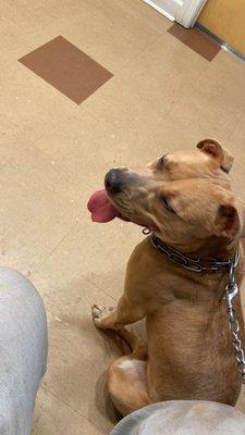 Crawfordville Animal Hospital