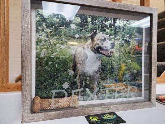 GT Designs And Apparel