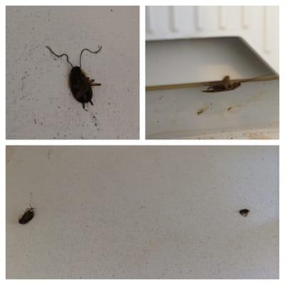 4480 Euclid Ave Appartments