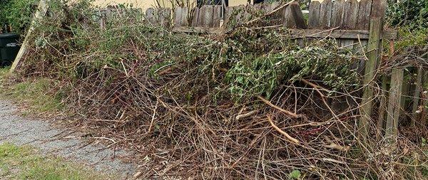 Cincinnati Cleaning Crew