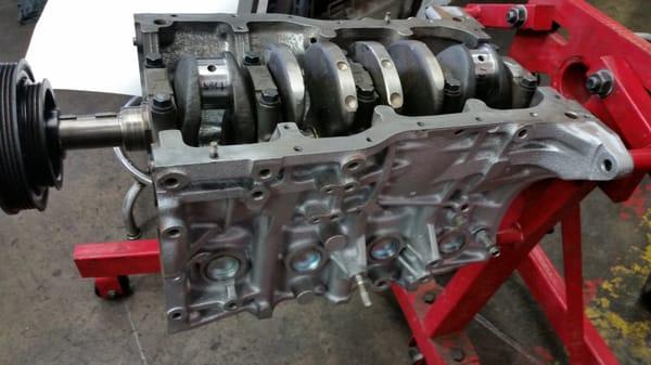 Advanced Import Specialist