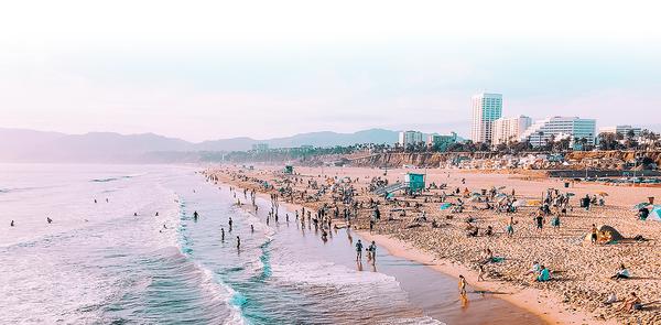 Jennifer L Wood, DDS