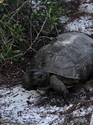Maggy's Hammock Park