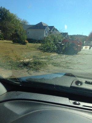 Stanleys Tree Service