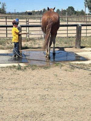 Washing Izzy after a lesson of cantering around poles and barrels. Age 7.