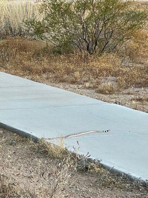 Reach 11 Recreation Area