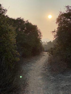 Lynnmere Trail From Lynn Road