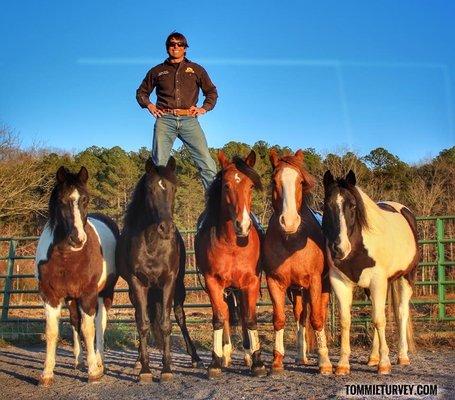 Stunt professionals Ace Bucephalus MODOC Blade Joker & Tommie Turvey