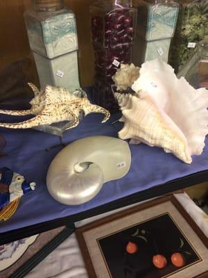 Father James B Hay Thrift Store