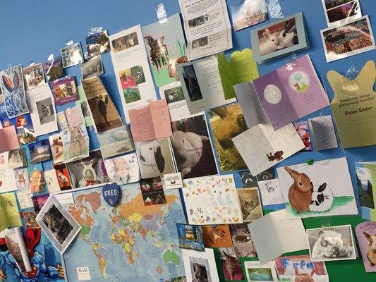 Tranquility Trail Animal Sanctuary