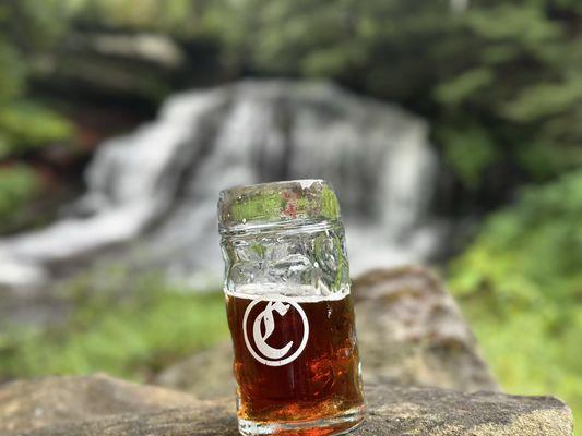 Vienna Lager by the falls