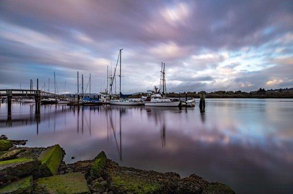 Alice Stanfill-Blue Wave Real Estate