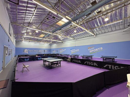 Micro Motion Table Tennis Academy