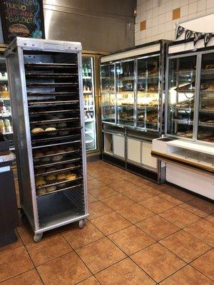 Fresh conchas in the outside rack. The other glass racks were stacked up with bread.