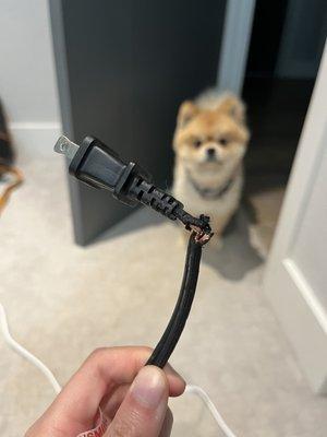 Broken power cord and plug