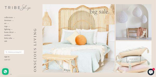 Website Design & SEO