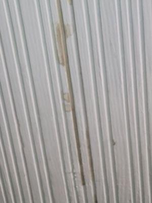 Extreme Developers Inc