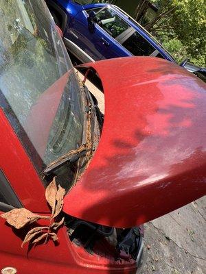 Oliver’s Mobile Detailing