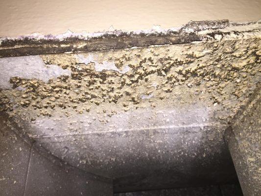 Burns Air Duct Cleaning Service