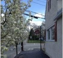 Lamy Insurance Agency