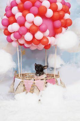 Lily in her Valentine's Day photoshoot