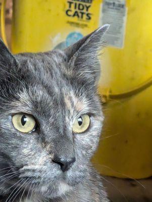 I call her jupe jupe