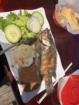 Fried Talapia with rice beans and side salad